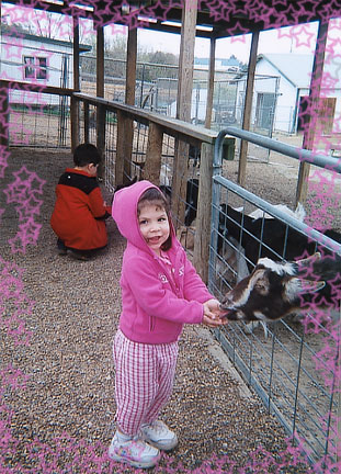 luray06_goat.jpg