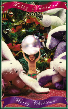 xmasball02.jpg